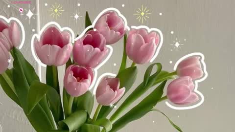 Alana Tobias online show from December 17, 6:35 pm