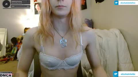 Alice Hatchette online show from November 15, 1:36 am