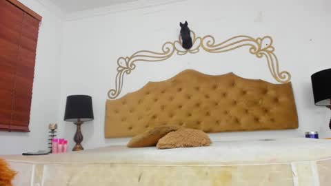 Amber Parisi online show from December 16, 11:33 am