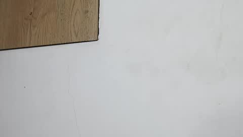 Andrea online show from February 24, 2:15 pm