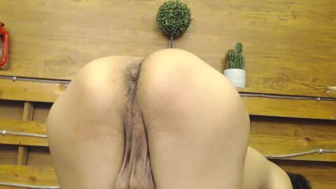 andy staar online show from November 20, 10:10 pm