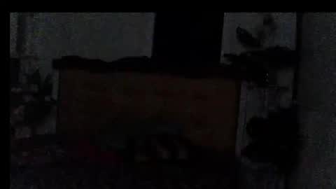 asianladyboy888 online show from February 9, 5:42 pm