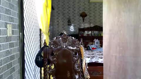 aymkyline online show from November 1, 2:42 am