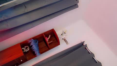 Snapshot of baby_monica18 chatting on February 9, 9:26 am Goddess Monica online show from February 9, 9:26 am