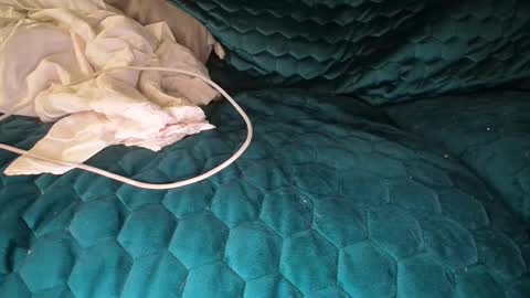 bigdicktrannynicole online show from September 18, 5:35 am