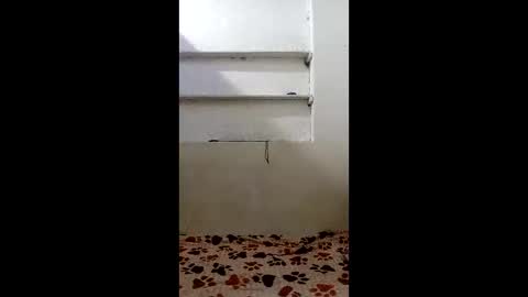 Mara Catalina Romero Ordez online show from April 21, 6:53 am