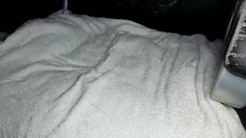 candydoll375 online show from March 24, 5:45 am