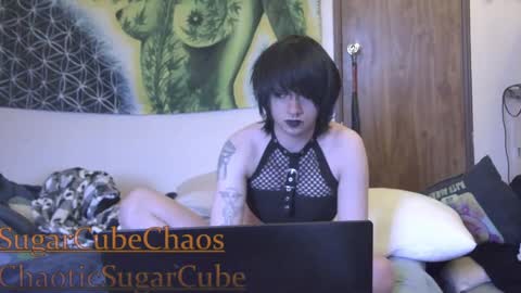 chaoticsugarcube online show from January 2, 11:38 pm