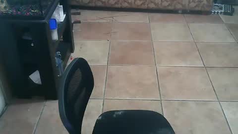 Snapshot of crossdressernola504 chatting on September 19, 11:54 pm crossdressernola504 online show from September 19, 11:54 pm