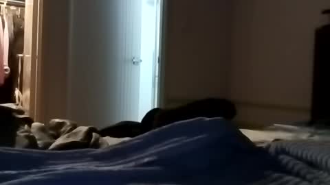 Kasey Xdresser online show from May 25, 12:02 pm