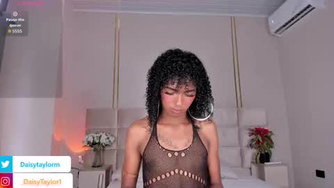 Daisy online show from November 19, 12:49 pm