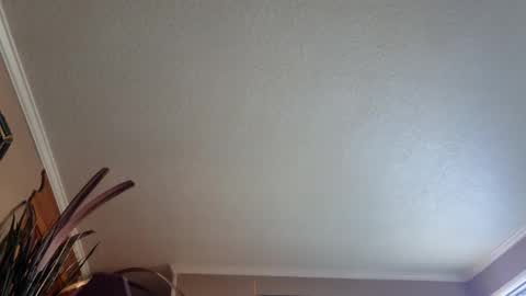 DeAnna56 online show from February 27, 11:00 pm