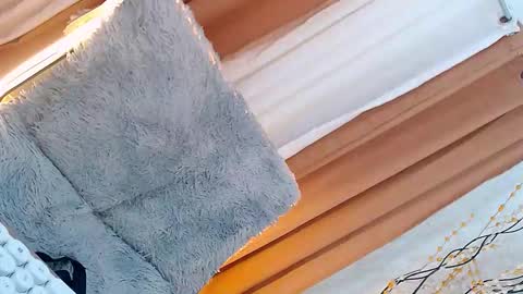 Dickforlillyx online show from November 22, 8:16 am