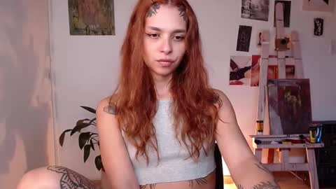 Alaska online show from February 20, 12:29 pm