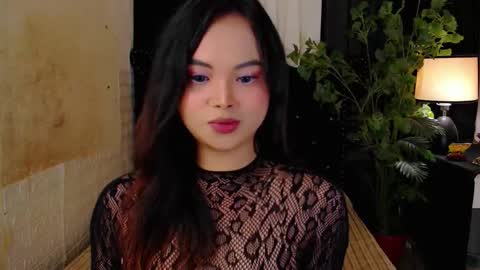 haily online show from November 22, 2:35 am