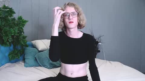 harrybrain online show from November 6, 10:04 am