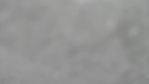 Slutty little female cat online show from January 18, 5:37 am