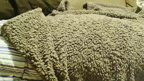 BigFTMdick online show from December 22, 7:11 am