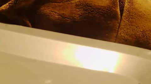 BigFTMdick online show from January 3, 6:01 am