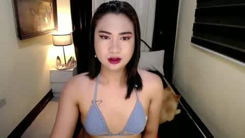 yesha fox online show from April 24, 12:08 pm