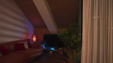 sasha hethey online show from April 19, 12:55 am