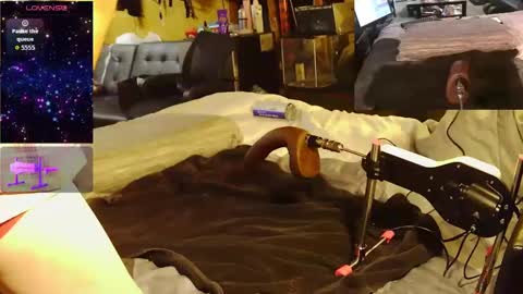 sissyjolicia online show from September 14, 1:00 am