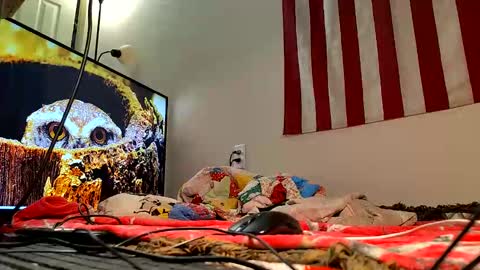 Snapshot of lawerenceingram46 chatting on October 29, 7:23 pm lawerenceingram46 online show from October 29, 7:23 pm