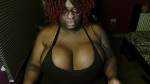 Echidna online show from November 26, 5:04 pm