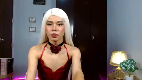 Stella online show from October 29, 7:50 am