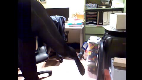 Snapshot of misterbobbyxx chatting on October 17, 9:51 pm misterbobbyxx online show from October 17, 9:51 pm