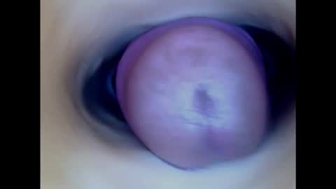 Snapshot of paulainoscente chatting on January 31, 1:43 am Paula 18 Aninhos online show from January 31, 1:43 am