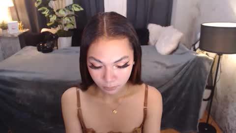 paulalawman online show from February 23, 12:02 am