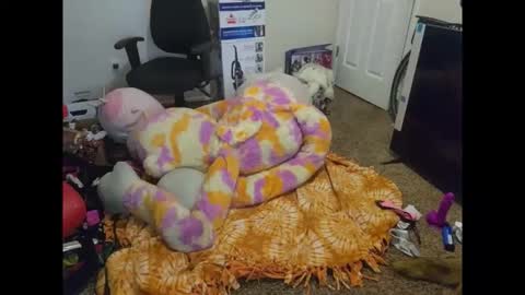 puppygirllovestobeg online show from April 7, 4:13 am