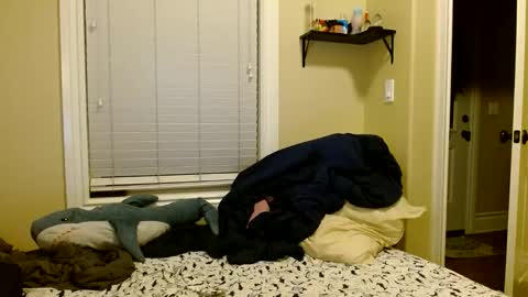 Vander Waals online show from March 6, 3:45 am