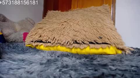 Myystiic online show from November 13, 7:21 pm