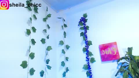 Snapshot of sheila_bigcok chatting on December 9, 7:39 pm SHEILA online show from December 9, 7:39 pm