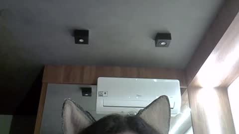 skinnykittencam online show from October 27, 3:03 am