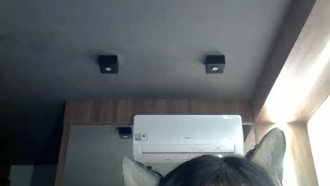 skinnykittencam online show from March 2, 11:06 am