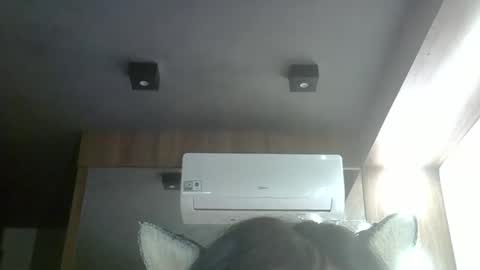 skinnykittencam online show from April 21, 9:21 pm