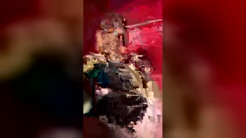 sonialuvsd online show from April 21, 8:10 am