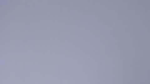 Sophia online show from April 21, 9:54 pm