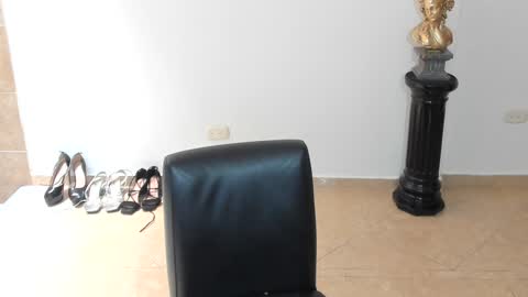 Snapshot of sophia_harry chatting on January 15, 6:08 pm sophia CM online show from January 15, 6:08 pm