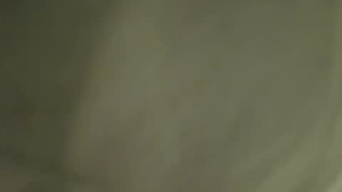 Tina Blow online show from November 26, 3:25 pm