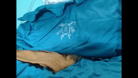 transexdotada online show from December 5, 8:04 pm