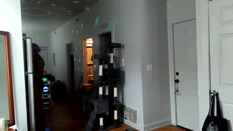 Amber White online show from February 2, 7:46 pm