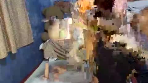 Hot Angel online show from February 26, 12:21 pm