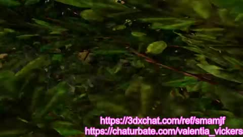 Valentia online show from April 10, 8:31 am