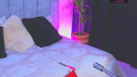        online show from December 28, 10:13 pm