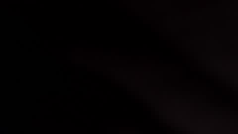 wildara online show from December 5, 12:04 am