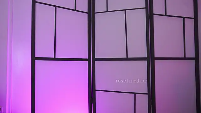 roselinedior online show from February 27, 7:31 pm